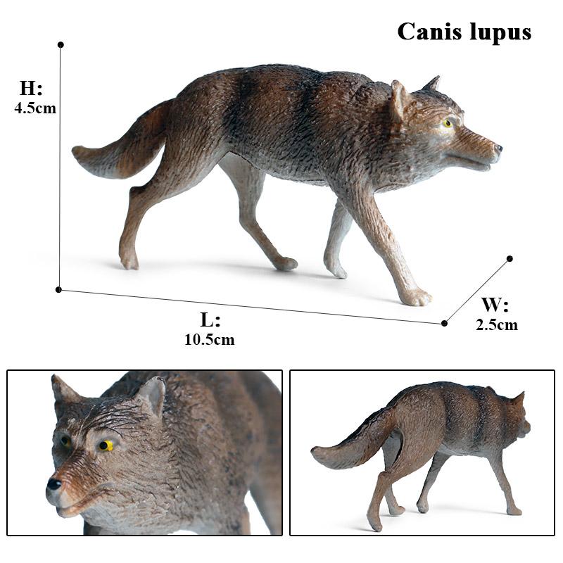 Oenux Wild Beast Animals Small Gray Wolf Maned Wolf Baby Wolves Simulation Model Action Figures Collection PVC Gift Kid Toy Gift