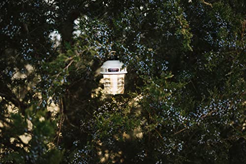 Barebones Beacon Hanging Light, Rechargeable LED Camping Lantern with Dimmable Lighting - Weatherproof Retro Hanging Lantern for Outdoor Adventures an