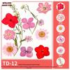 Handmade Pressed Flower Bookmark and Epoxy Sticker Pack with Real Leaf and Plant Specimens for DIY Face Makeup.