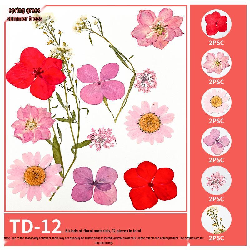 Handmade Pressed Flower Bookmark and Epoxy Sticker Pack with Real Leaf and Plant Specimens for DIY Face Makeup.