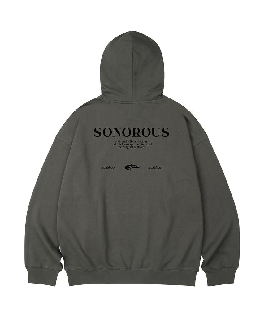 Sonorous Oversized Hoodie_10 Col