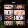 Perfect Diary Animal Eyeshadow Palette (1.2g X 12 Colors) (Red Fox Red Brown)