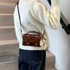 Retro portable small bag women's 2025 new versatile shoulder bag fashion pillow-type lock messenger bag