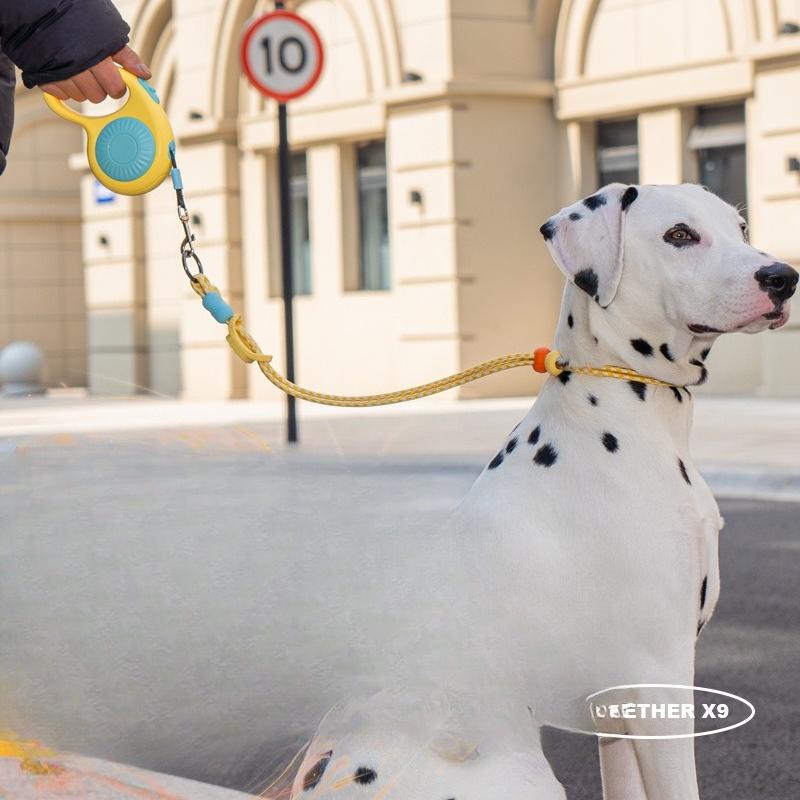 Pet Dog Leash, Automatic Telescopic Leash, Outdoor Dog Walking Leash, Dog Chain, Dog Leash