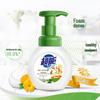 Chao Neng Antibacterial Foam Hand Sanitizer