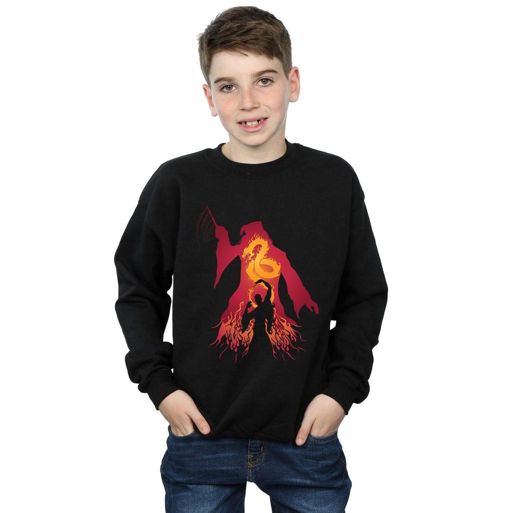 HARRY POTTER Jungen Dumbledore Silhouette Sweatshirt