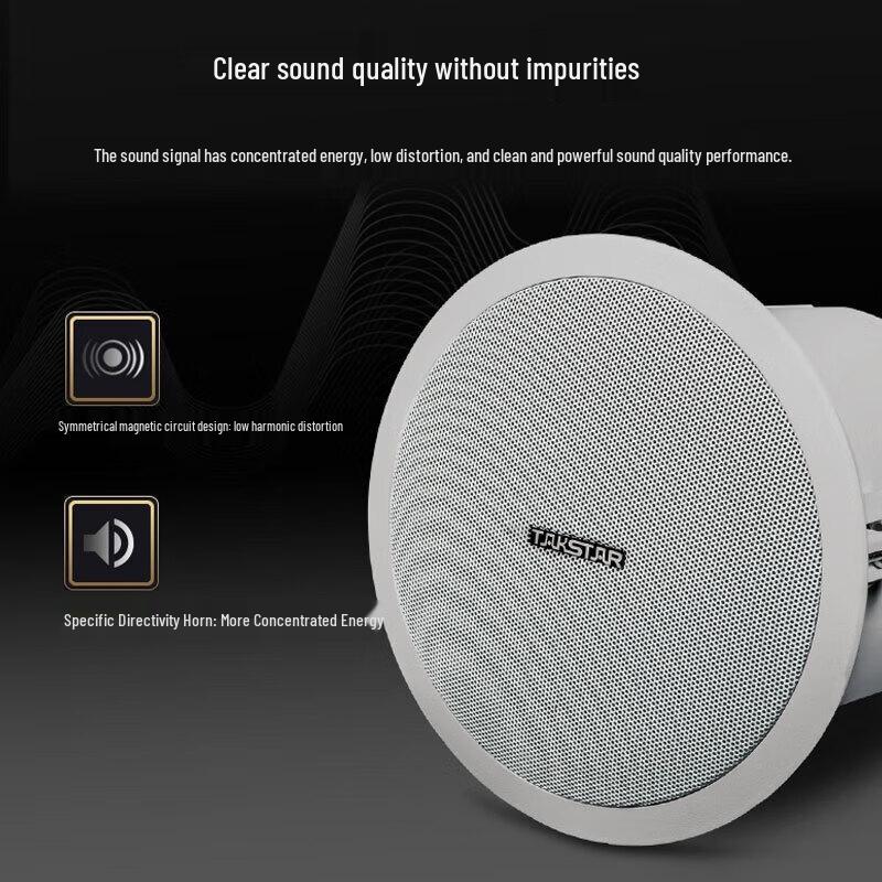 TAKSTAR EBS-640 Ceiling Speaker CN plug (adapter included)