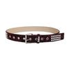 Youth Animal Print Belt With Alloy Pin Buckle And Vintage Finish For Daily Fashion