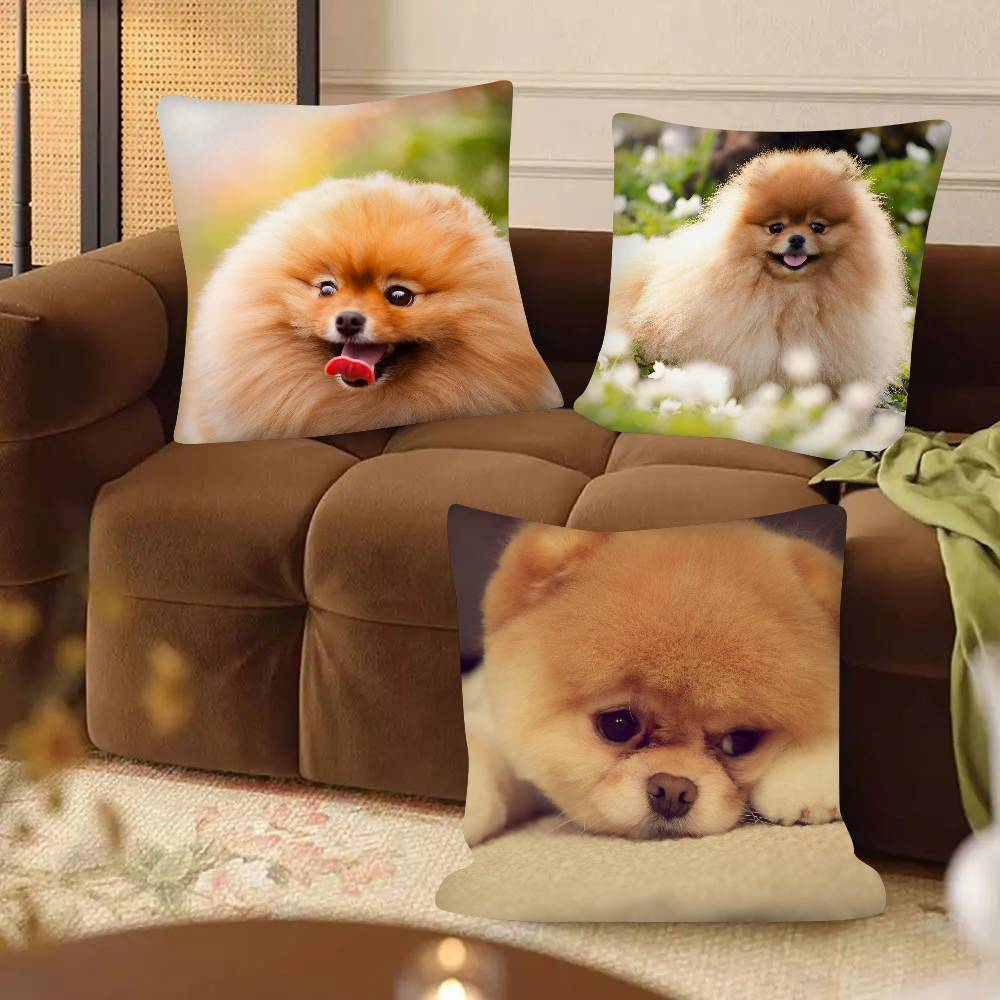 Poszewka na poduszkę dla psa rasy szpic miniaturowy Modna kwadratowa poszewka na poduszkę Sypialnia Sofa Pokój Dekoracja Ins Wypoczynek