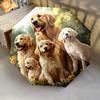 1 PC Automatic Folding Umbrella - Golden Retriever Pattern, Portable & Foldable Design with 8 Ribs, Christmas Birthday Gifts