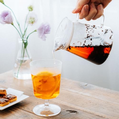 Hario Teapot Without Lid, Clear, Simple Design, 450ml, FNC-45-T