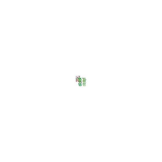 fogman Masking Tape Cute Stylish Check Decoration Set of 12 (Green)