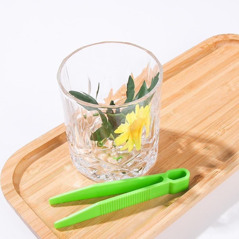 2Pcs/Set Plant Insect Catcher Set Plastic Nature Exploration Toy Kit Biology Study Tool Set  Kids