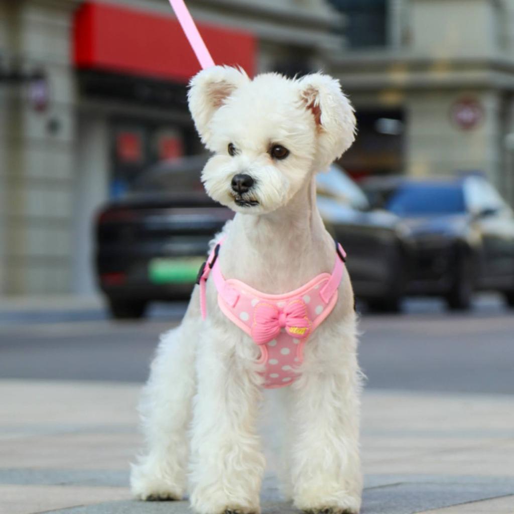 Bowtie Dog Harness Set Soft Pink Dotted Harness Pet Accessory Breathable Escape Resistant