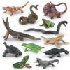 Realistic Pvc Forest Amphibian Animal Model Set With Colorful Tree Frogs Turtles And Chameleons
