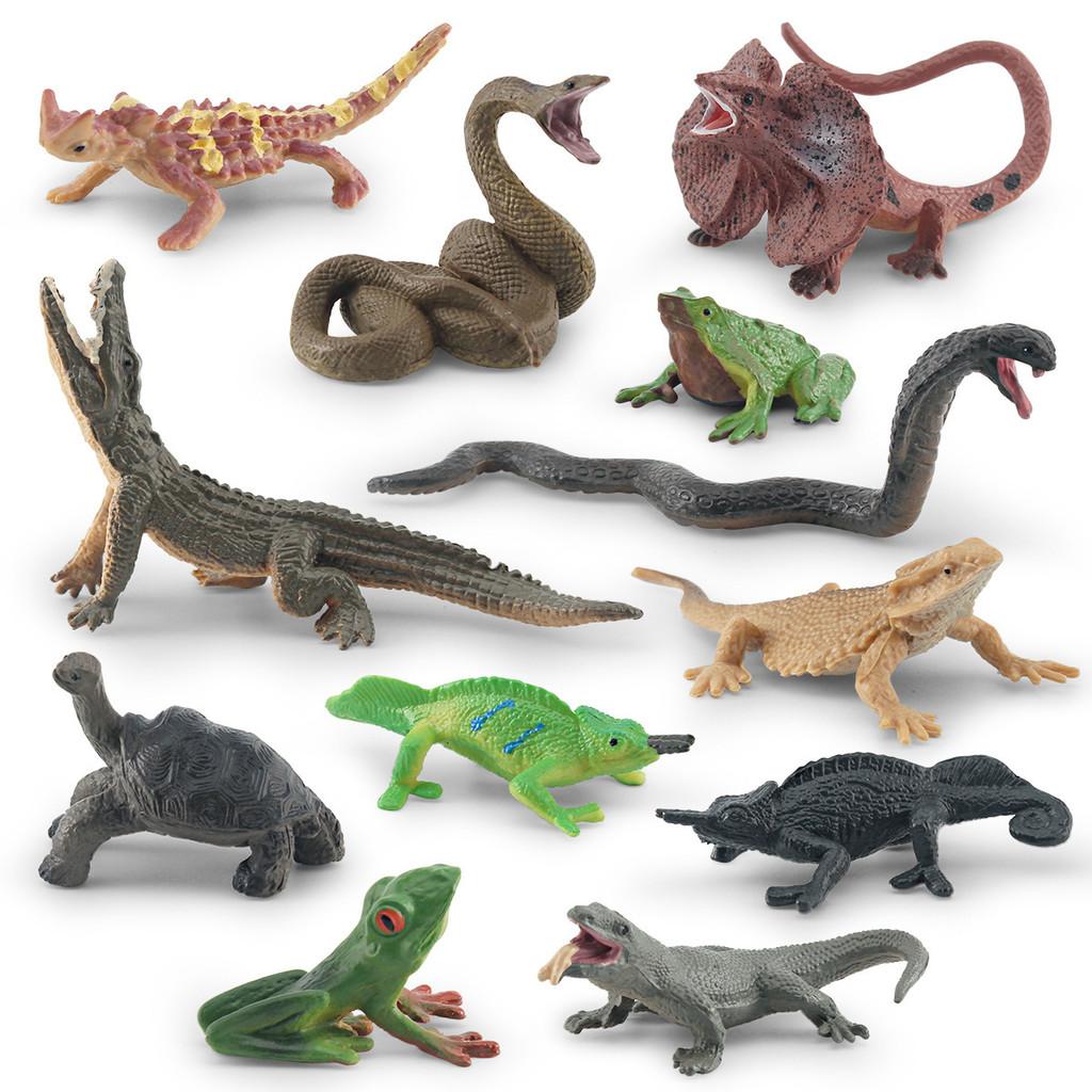 Realistic Pvc Forest Amphibian Animal Model Set With Colorful Tree Frogs Turtles And Chameleons