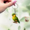 Cute Parrot 2D Acrylic Keychain, Decorative Hanging Charm for All Events & Holidays, Ideal Gift Choice