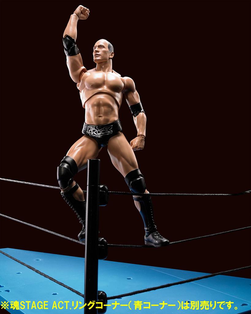 S.H.Figuarts WWE The Rock (approx. 160mm tall) PVC & ABS articulated figure