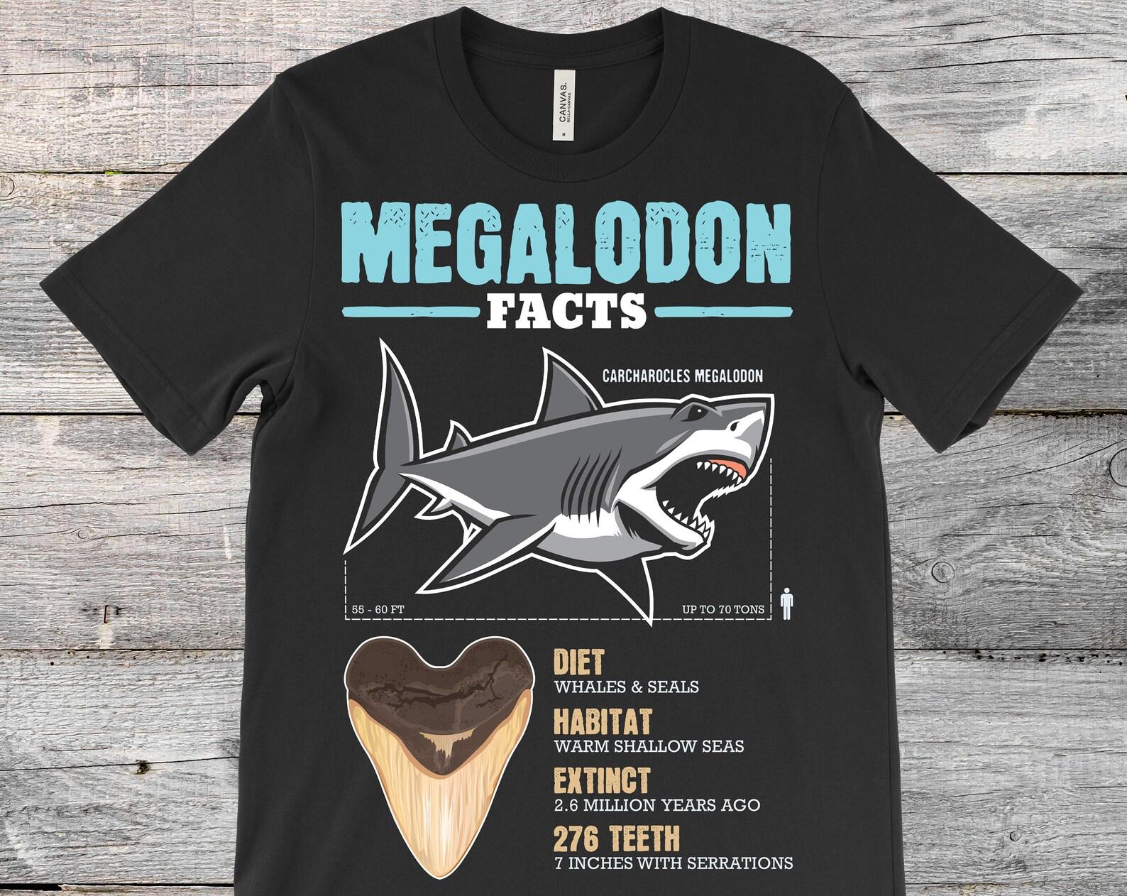 Megalodon Facts Shark Teeth T-Shirt, Sharks Lover Gift, Educational Ocean Life Study T Shirts, Trip Costume Museum, Marine Biology, Present, 150