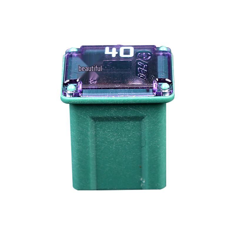 Rayxiang Automotive Square Short-Leg Fuse Blades