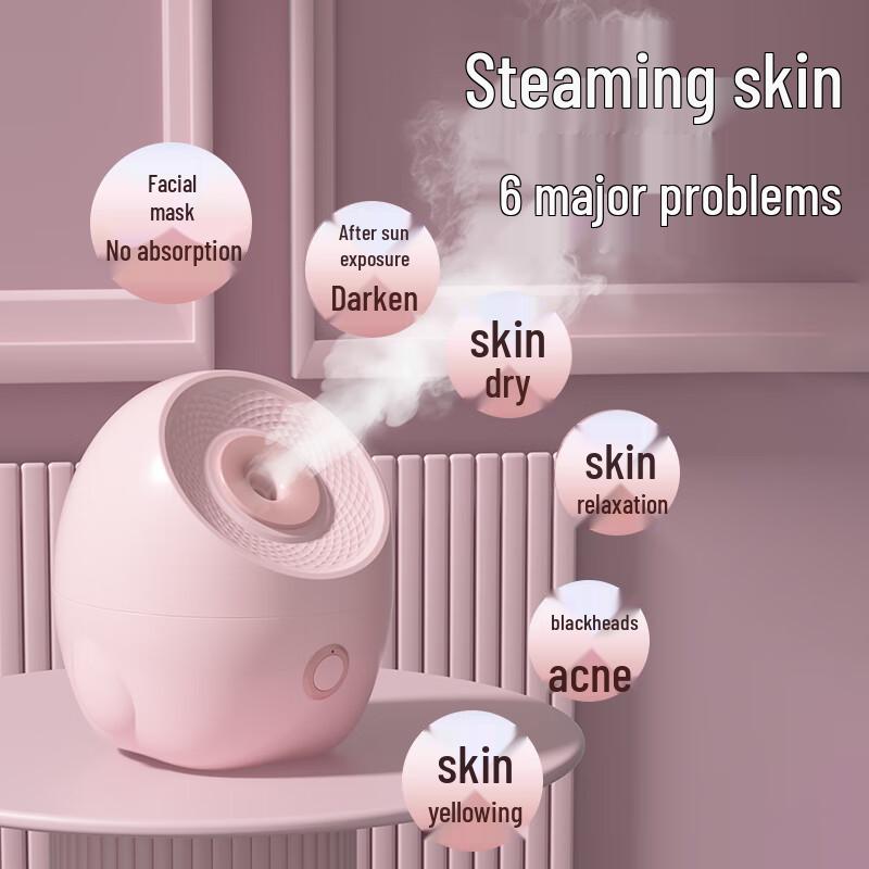 Meebordi Nano-Ionic Facial Steamer CN Plug (adapter Included)