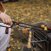 Fire Gripper with Wooden Handle Heat Resistant Campfire Tender Tongs