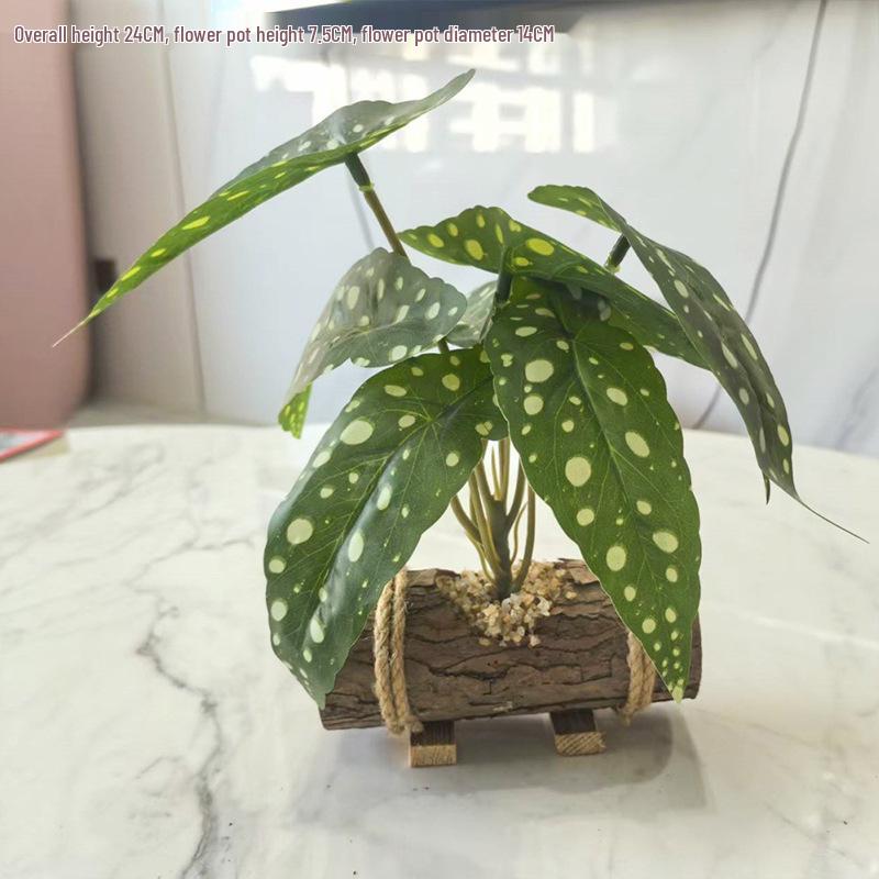 Creative Wooden Basin with Artificial Green Plant Bonsai Ornament for Display and Decoration.
