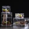 Acrylic Pet Terrarium Enclosure Cage For Small Reptiles With Breathable Airflows Holes Design Jumping Spiders Habitat Box