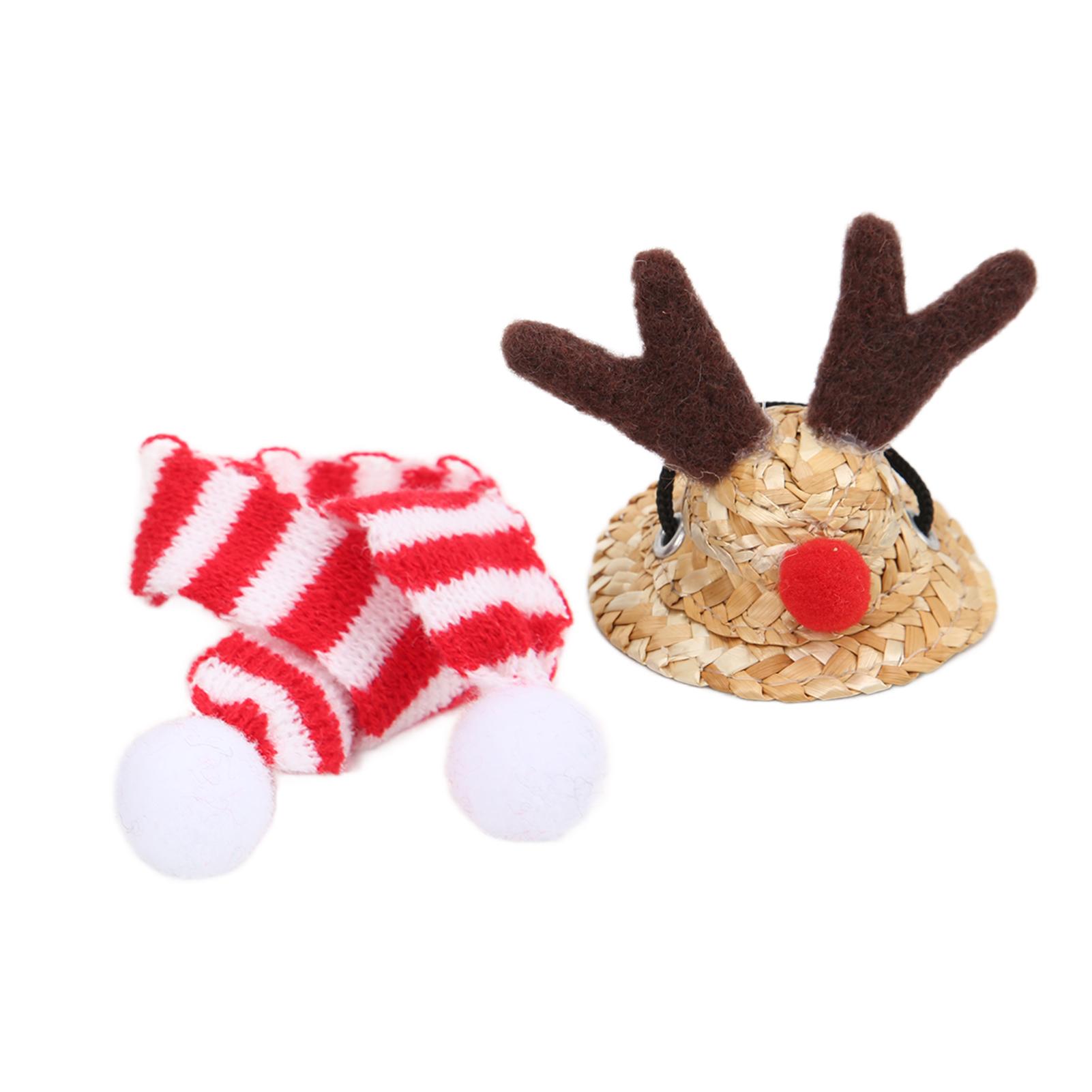 

Бородатая ящерица Санта-шляпа Шарф Рептилия Регулируемая Соломенная Шляпа-олень и Шарф Рождественский Костюм для Праздничной Вечеринки Фото Type 1