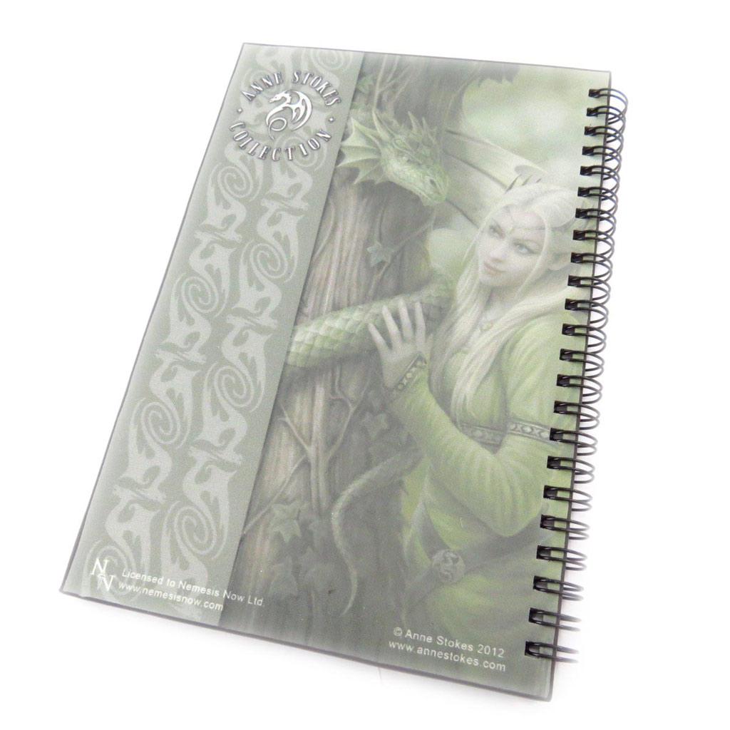 Les Trésors De Lily [J5595] - Carnet à spirales 'Fairy Dreams' vert
