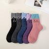 5 Pairs of Mixed Color Autumn and Winter Thick and Warm Cat Head Cartoon Rabbit Blended Midsole Women's Socks
