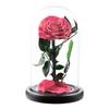 Eternal Flower Glass Cover Little Prince Rose Valentine's Day Gift Premium Finished Gift Box