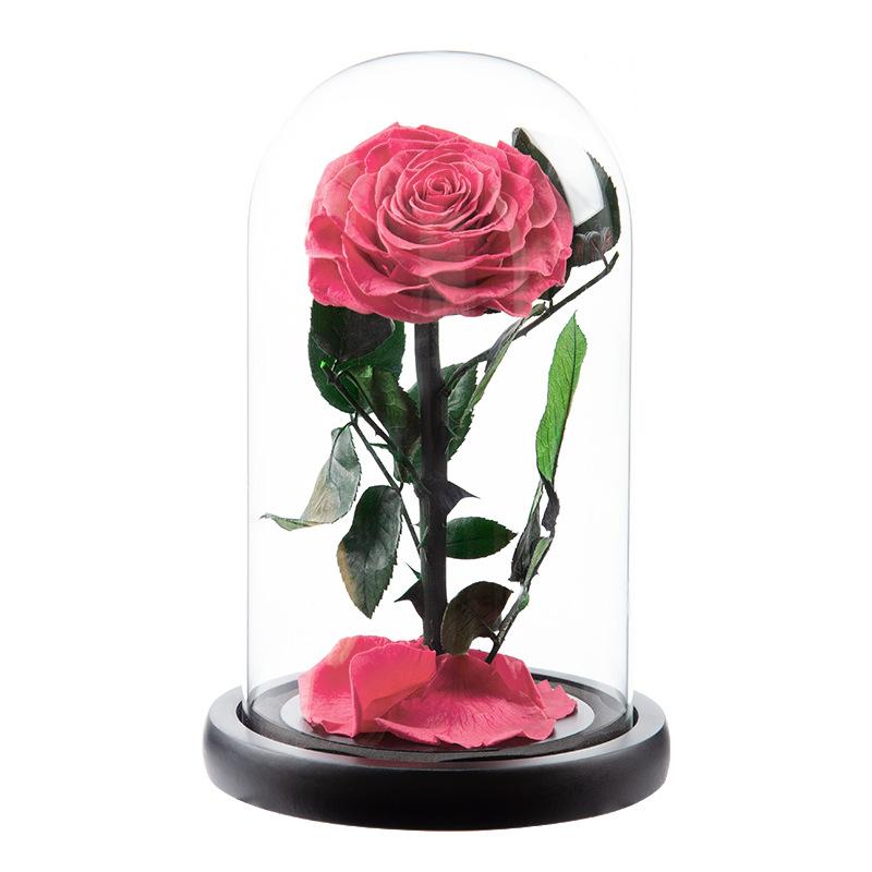 Eternal Flower Glass Cover Little Prince Rose Valentine's Day Gift Premium Finished Gift Box