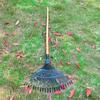 Stalen Ventilator Houtvork voor Hoofdwissel voor Tuin Terras Bladeren Blad Gazon Mos 22 Tot