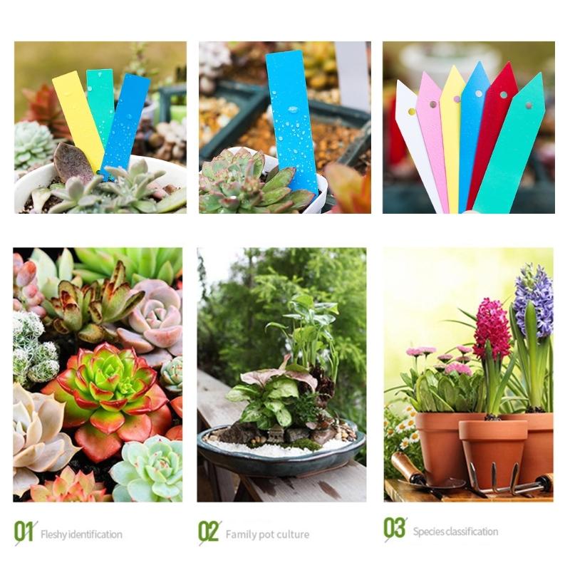 100Pcs Plant Labels for Outdoor Plant Plastic Plant Labels Markers & Labels Plant Labels for Garden  Potted