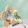 Wear Resistant Bird Perch Stand with Mirror Bite Resistant Hanging Wood Stand Toy  Grinding