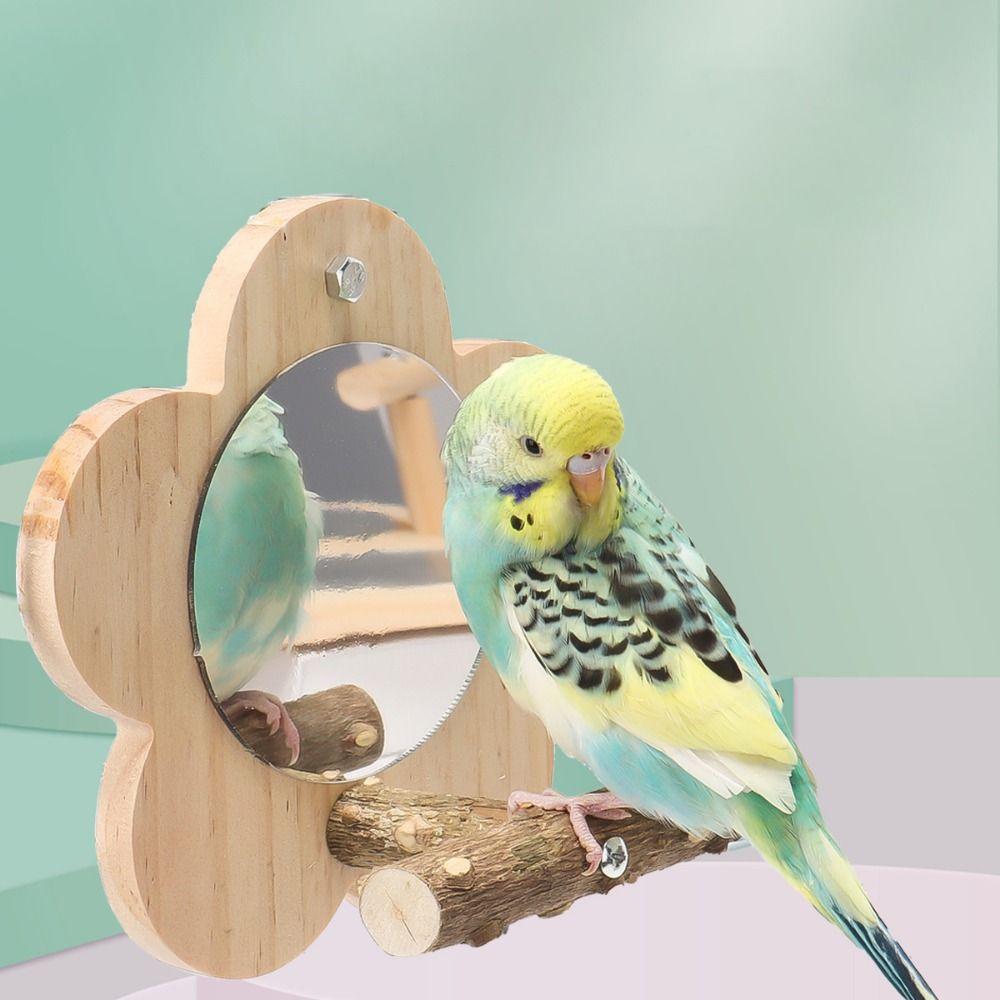 Wear Resistant Bird Perch Stand with Mirror Flower Shape Bird Branch Perch Rod  Grinding
