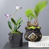 Creative And Personalized Purple Sand Flower Pot Ceramic Xiaolaozhuang Meat Meat Peach Egg Plant Bonsai Potted Plant Calamus Wenzhu Chinese Style