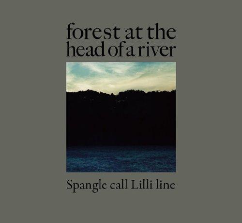 

Forest At The Head Of A River
