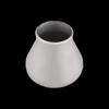 304 Stainless Steel Concentric Reducer