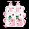 Antibacterial Moisturizing Hand Wash