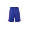 Jordan Sport DNA Mesh Logo Print Shorts Men Bottoms Blue DJ0200-455