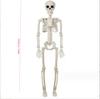 Halloween skeleton human 40cm movable joint standing scene arrangement plastic simulation skeleton model