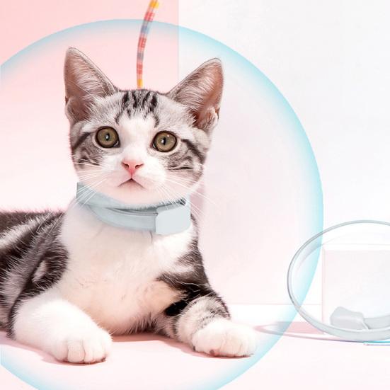 Excellent Pet Neck Circles Quick Release Long Lasting Decorative