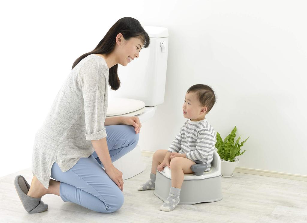 Richell Potty Chair K, White, 1 Piece (x 1)