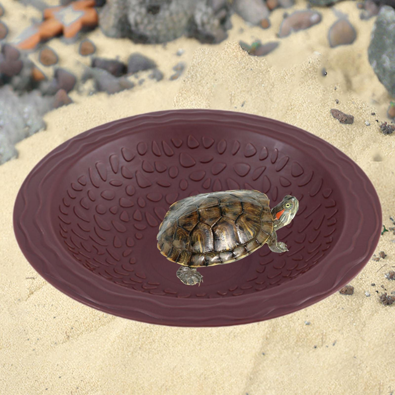 

Бассейн для купания рептилий, миска для воды для черепах, кормушка для ящериц, черепах, Brownish Red