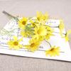 Artificial Daisy Single Stem High Simulation Vivid Decorative for Wedding Bedrooms Parks Offices