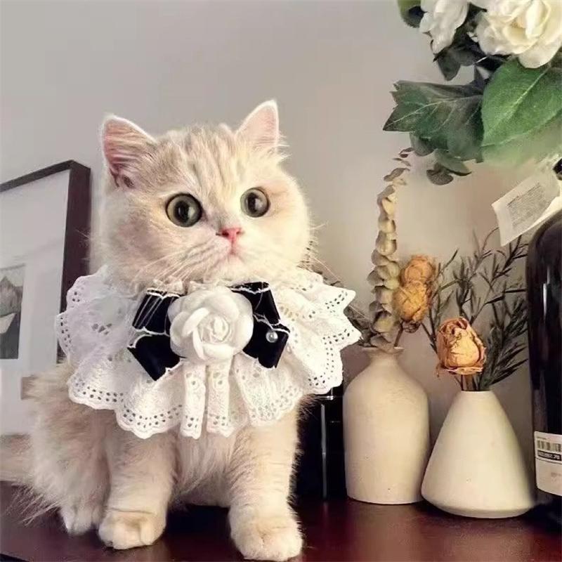Dark Green Bow Knot Pet Cat Necklace Floral Pearl Decorate Bib Neck Collar for Small Medium Dogs Lace Wedding Cats Accessories