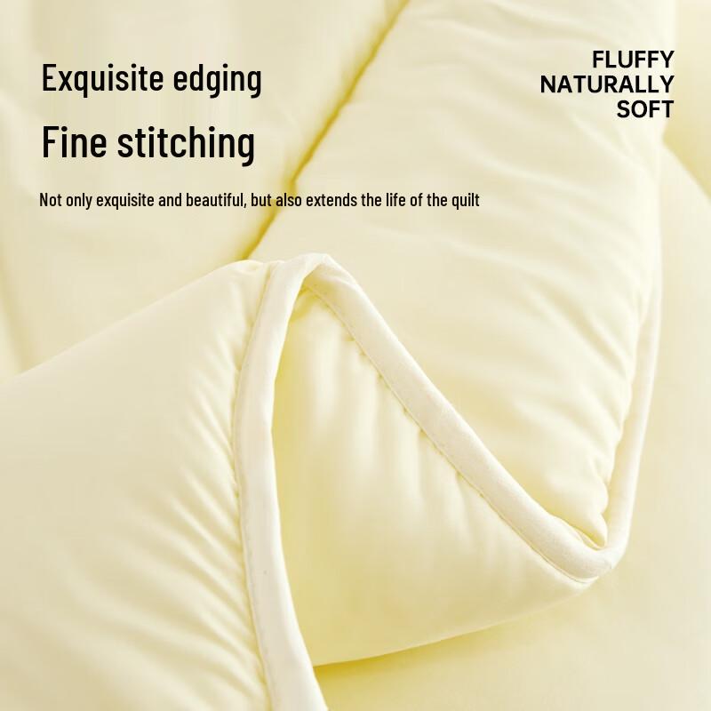 NanJiren Warm Fiber Winter Quilt