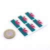 Wales Flag Stickers X6 25mm Car Motorbike Helmet Vinyl Welsh Flag